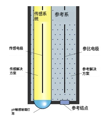 pH傳感器工作原理測(cè)量系統(tǒng)，pH傳感器的方程計(jì)算值