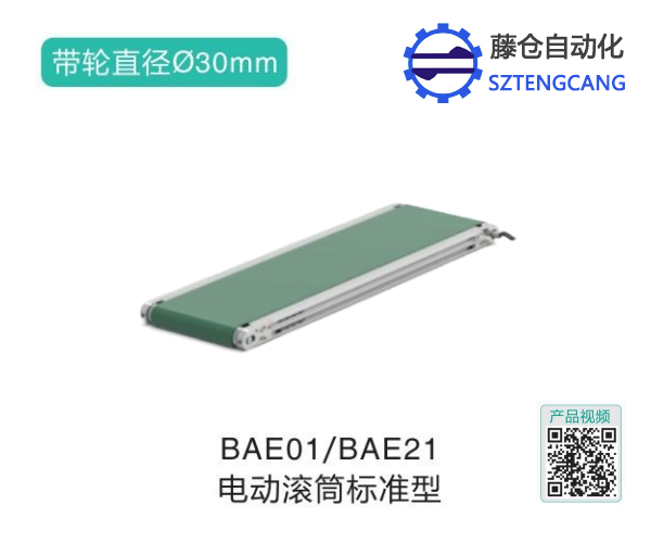 標(biāo)準(zhǔn)型電動(dòng)滾筒BAE01/BAE21設(shè)備輸送機(jī)